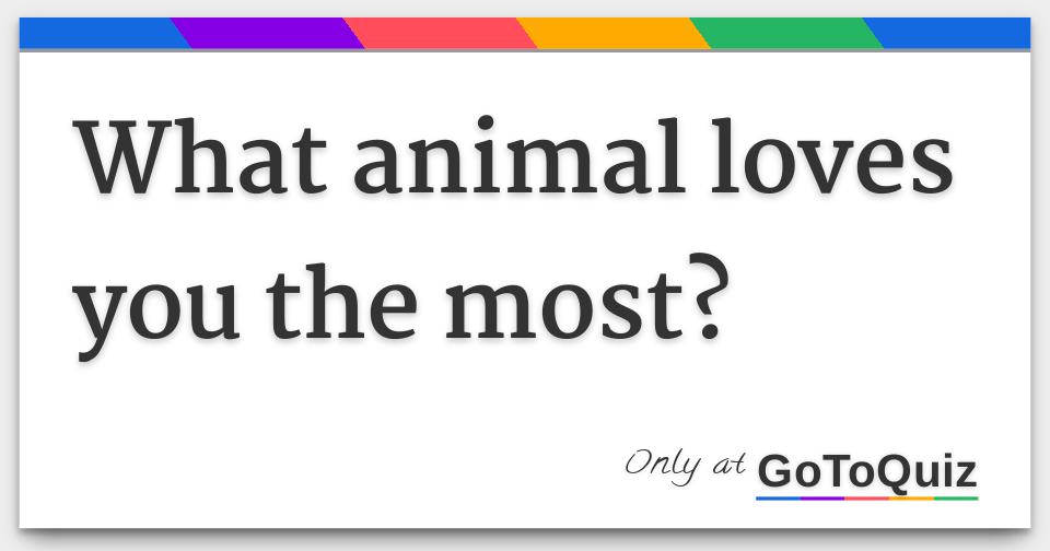 What animal loves you the most?