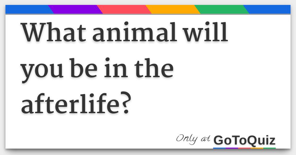 What animal will you be in the afterlife?