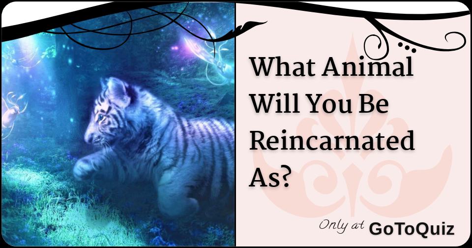 What Will You Be Reincarnated As What Animal Will You Be Reincarnated As?