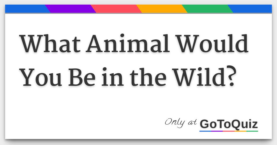What Animal Would You Be in the Wild?