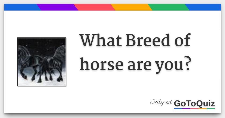 results-what-breed-of-horse-are-you