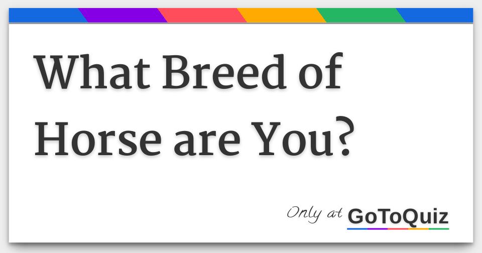 What Breed of Horse are You? Take the quiz