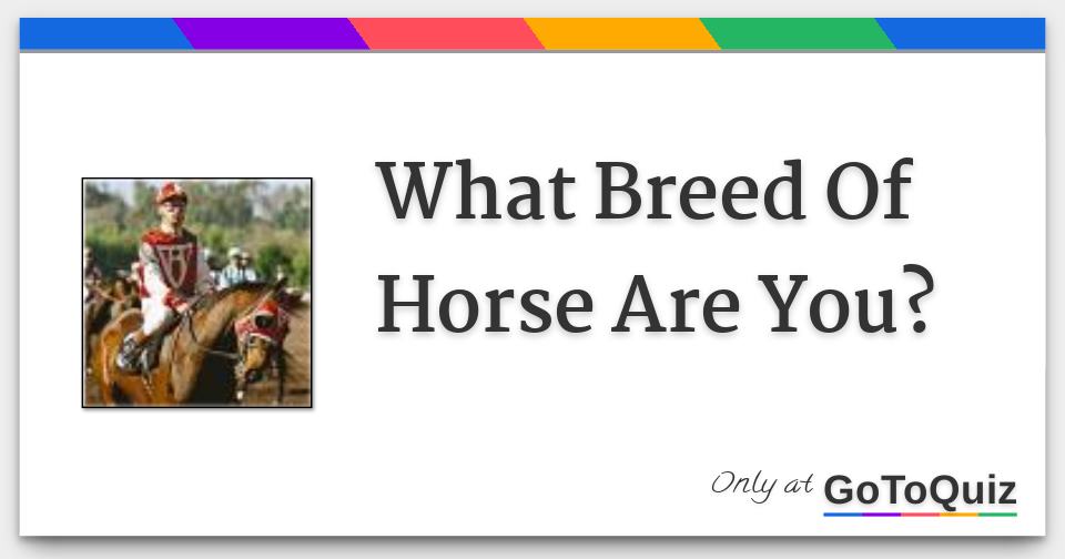 What Breed Of Horse Are You? Find out! [pics]