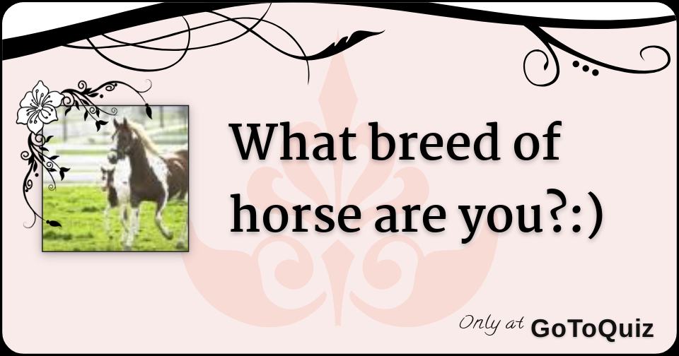 what breed of horse are you?:)