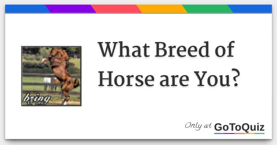 What Breed of Horse are You?