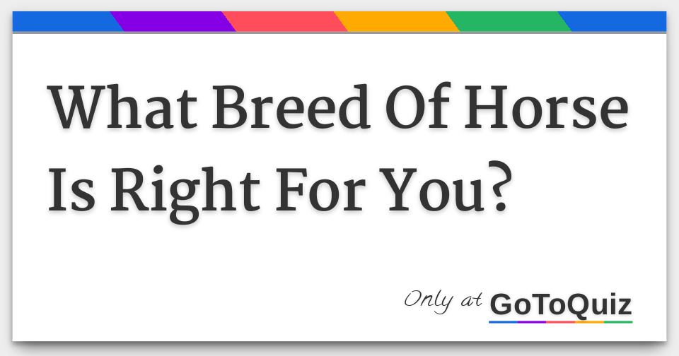 what-breed-of-horse-is-right-for-you