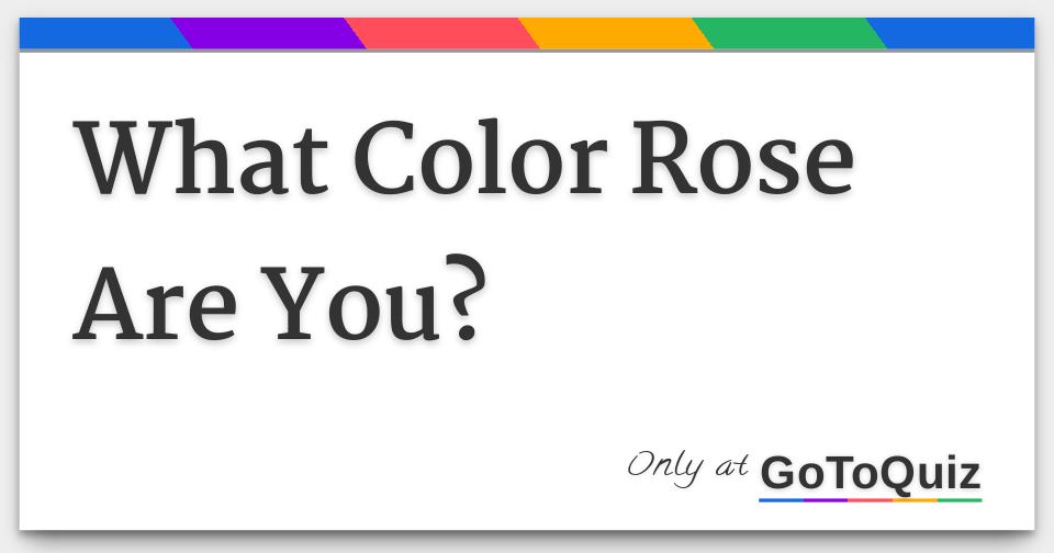 What Color Rose Shows Friendship