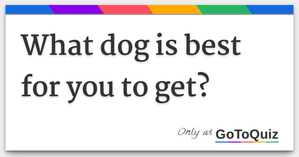 What dog is best for you to get?