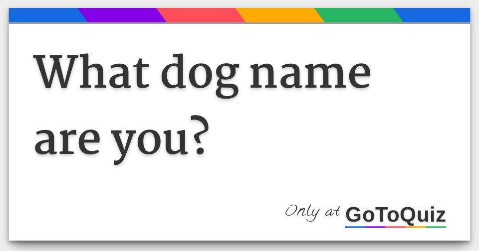 what-dog-name-are-you