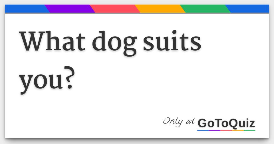 what-dog-suits-you