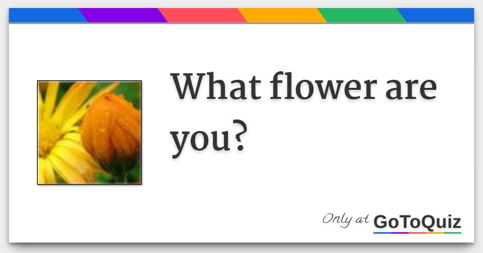 what-flower-are-you