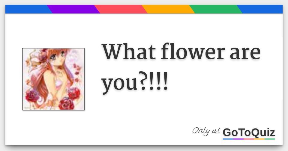 what-flower-are-you