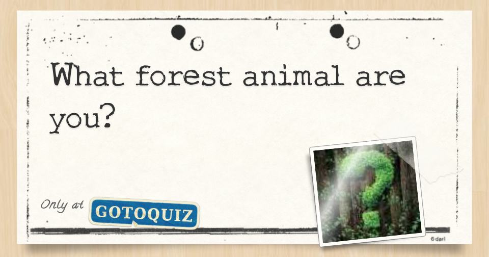 what-forest-animal-are-you