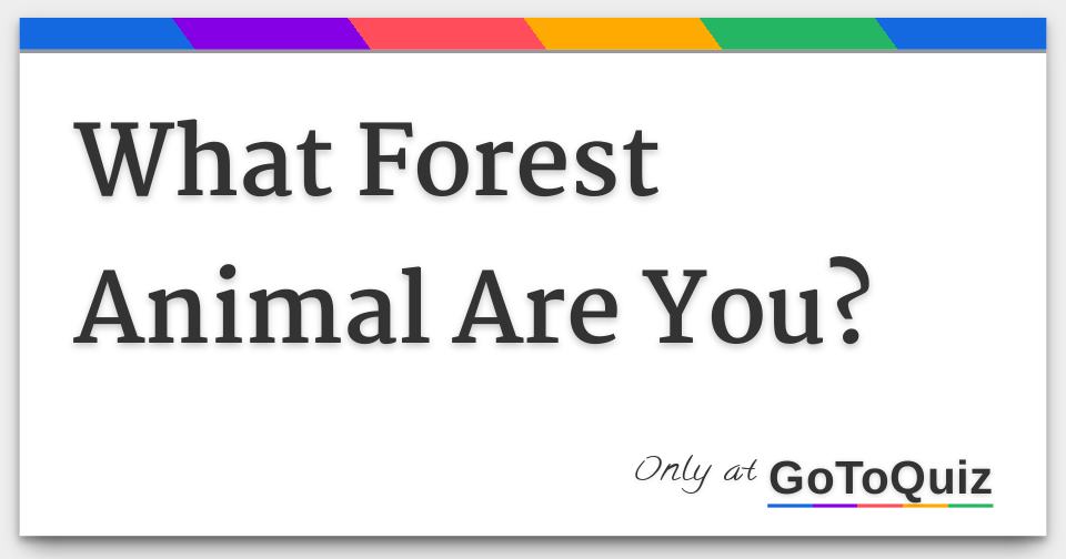 what-forest-animal-are-you