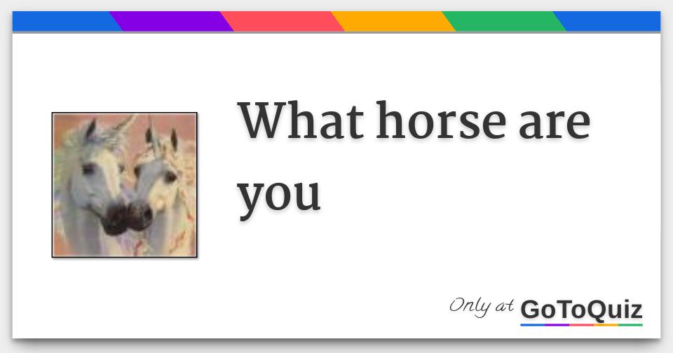 what horse are you