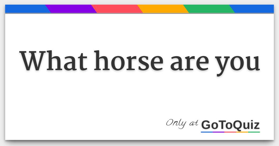 what horse are you