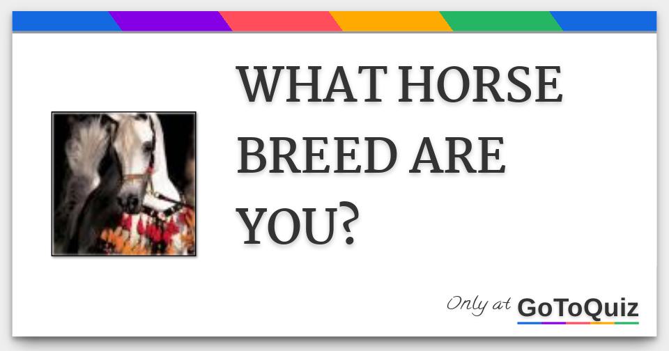 WHAT HORSE BREED ARE YOU?