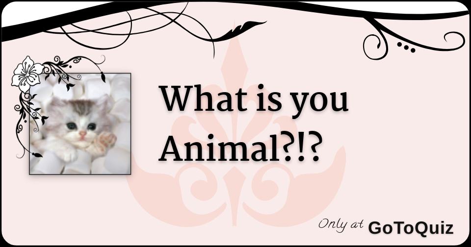 What is you Animal?!?