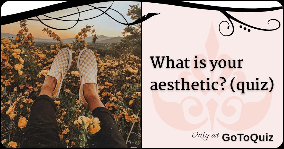 what is your aesthetic? (quiz)