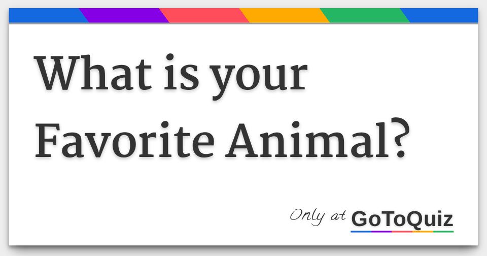 what are my favorite animals