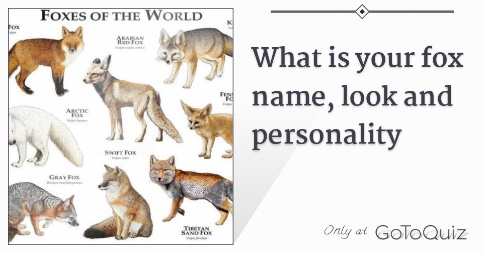 What is your fox name, look and personality