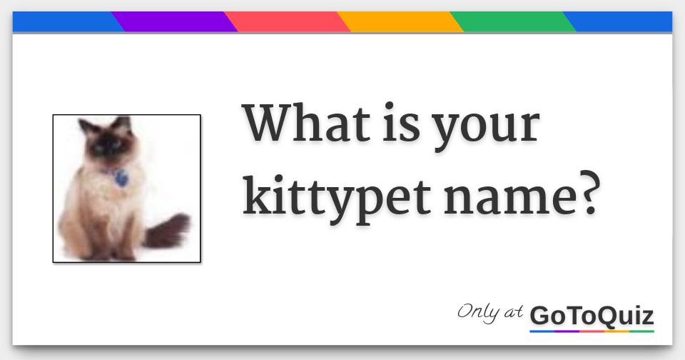 what-is-your-kittypet-name