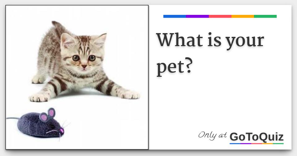 what is your pet?