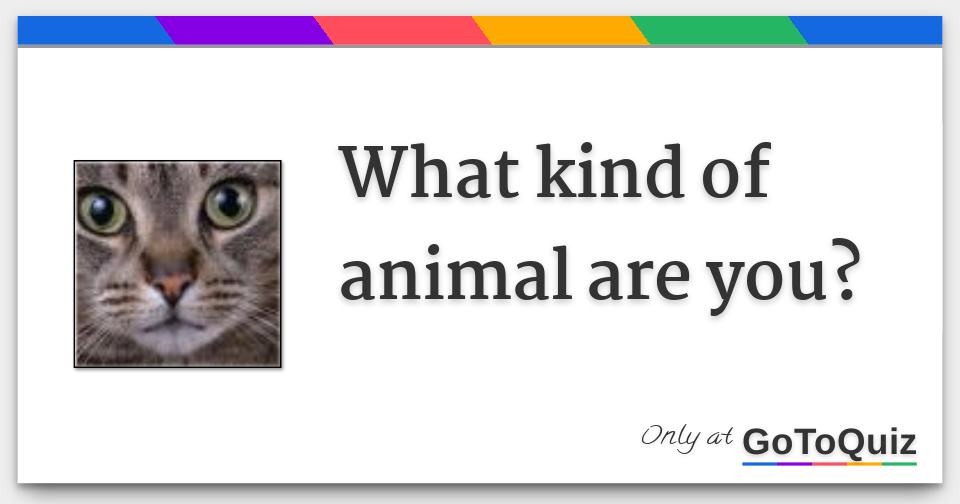 What Kind Of Animal Are You