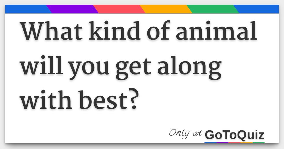 what kind of animal will you get along with best?