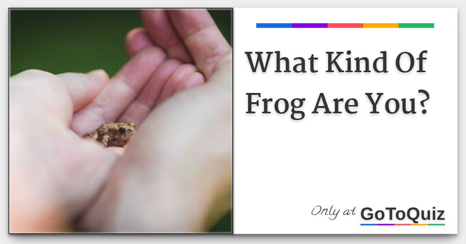 What Kind Of Frog Are You?