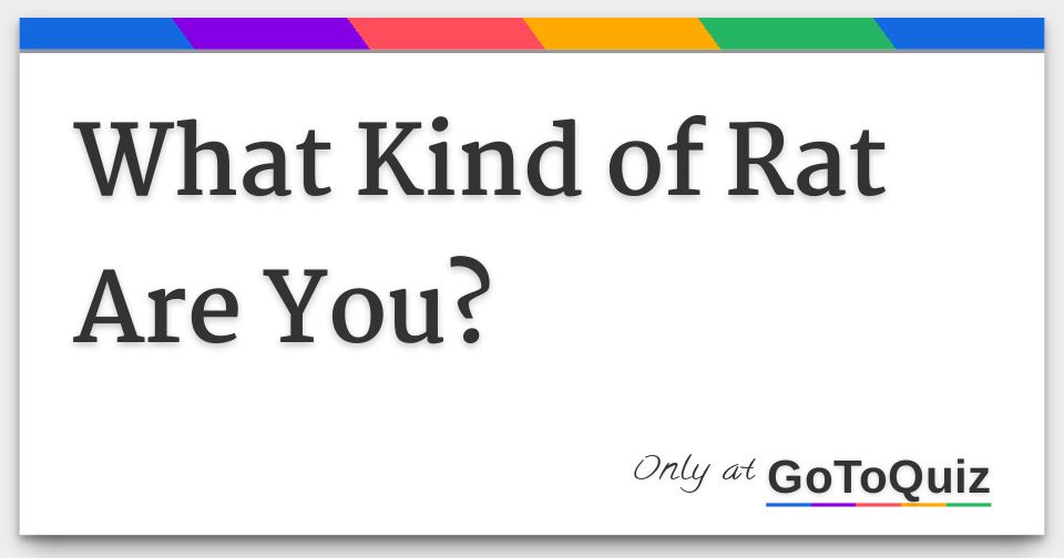 What Kind of Rat Are You?