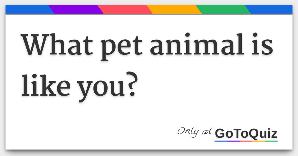 what-pet-animal-is-like-you