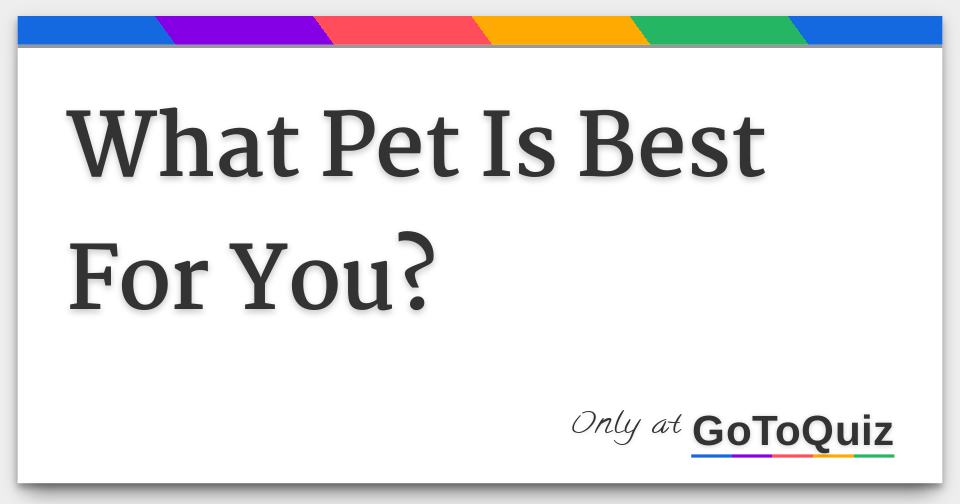 what-pet-is-best-for-you