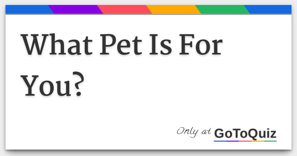 what-pet-is-for-you