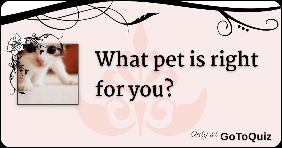 What pet is right for you?