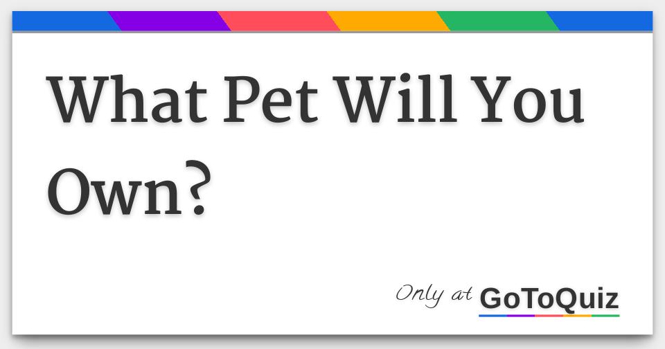 what-pet-will-you-own