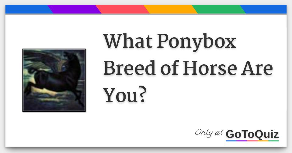 What Ponybox Breed of Horse Are You?