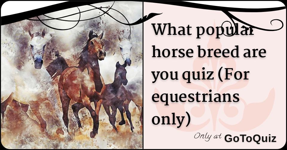 What Popular Horse Breed Are You Quiz (Equestrians Only)