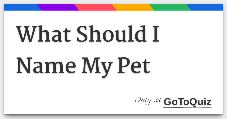 what-should-i-name-my-pet