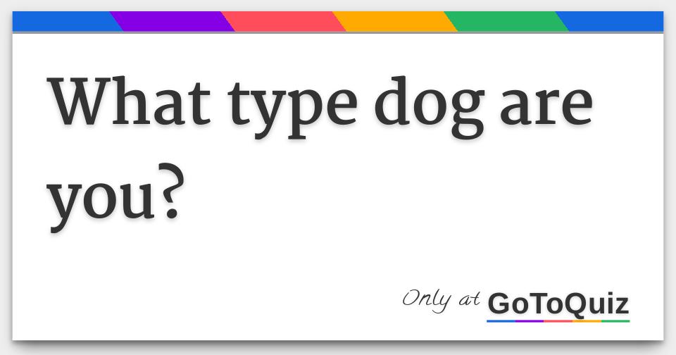 what-type-dog-are-you