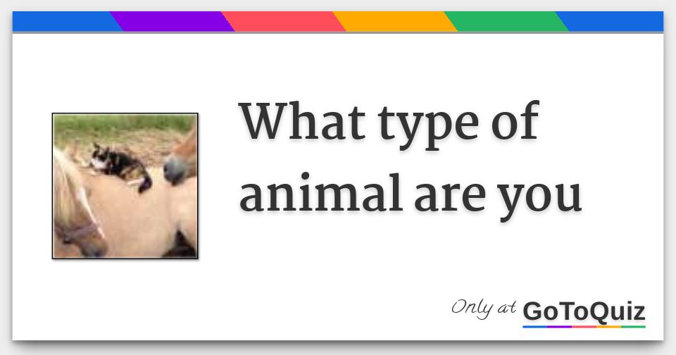 How To Know What Type Of Animal You Are