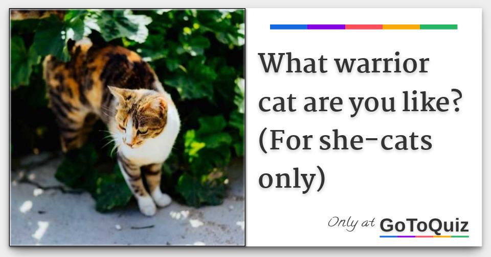 What Warrior Cat Are You? Quiz - ProProfs Quiz