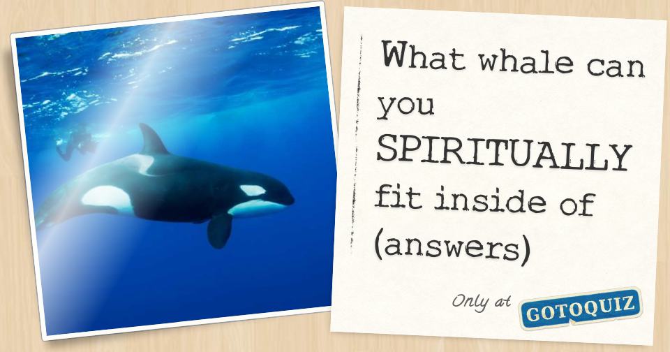 what-whale-can-you-spiritually-fit-inside-of-answers