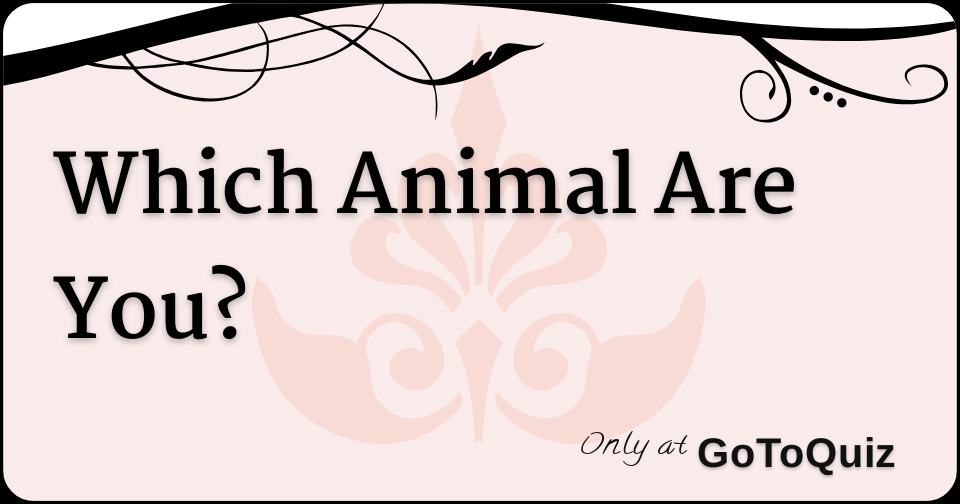 Which Animal Are You?