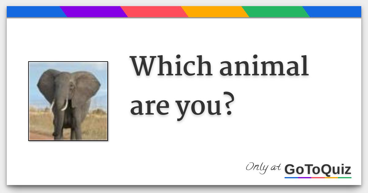 Which animal are you?