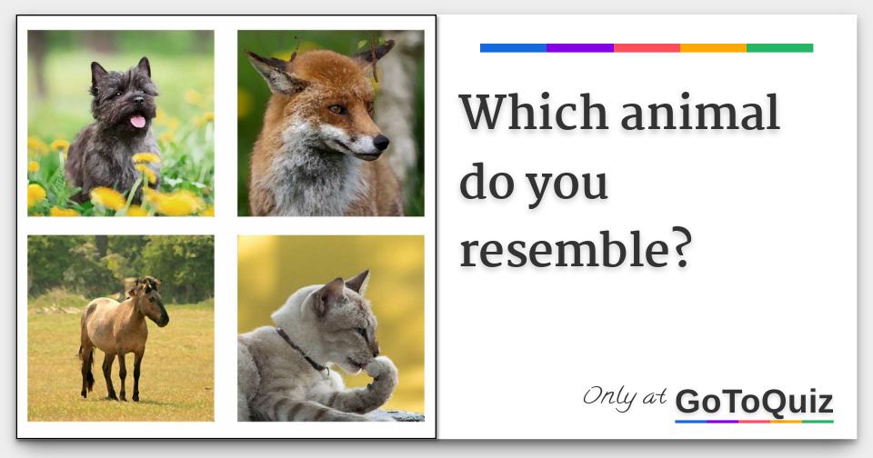 which-animal-do-you-resemble