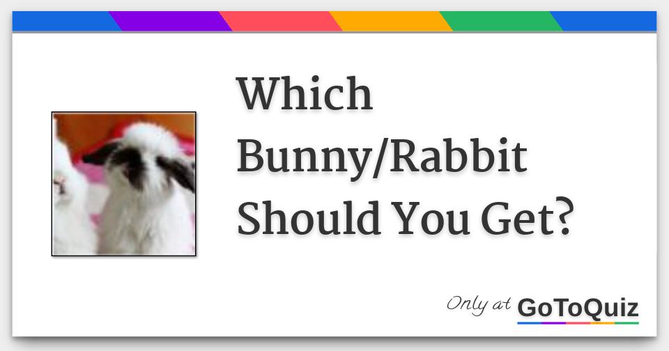 Which Bunny/Rabbit Should You Get?