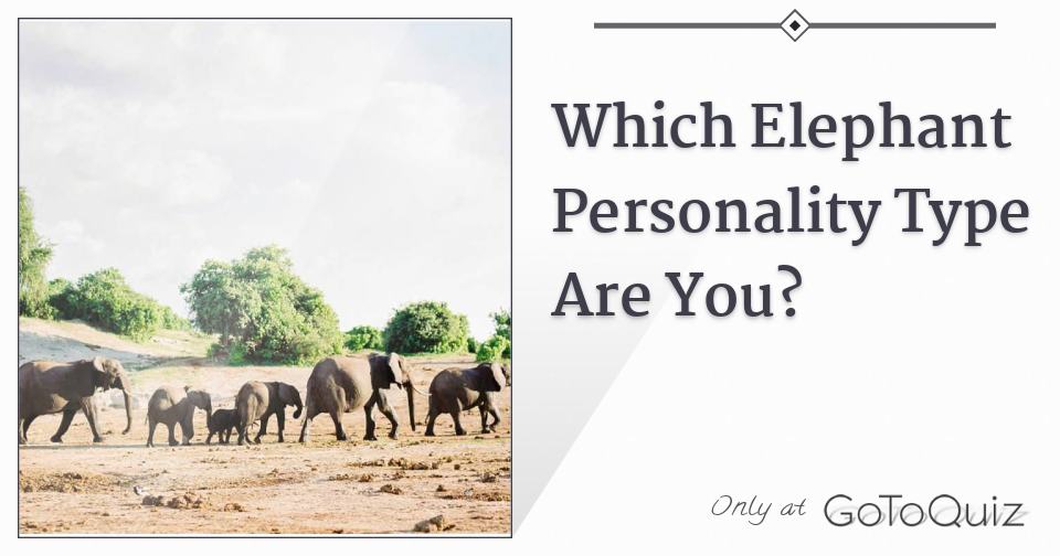 Which Elephant Personality Type Are You?