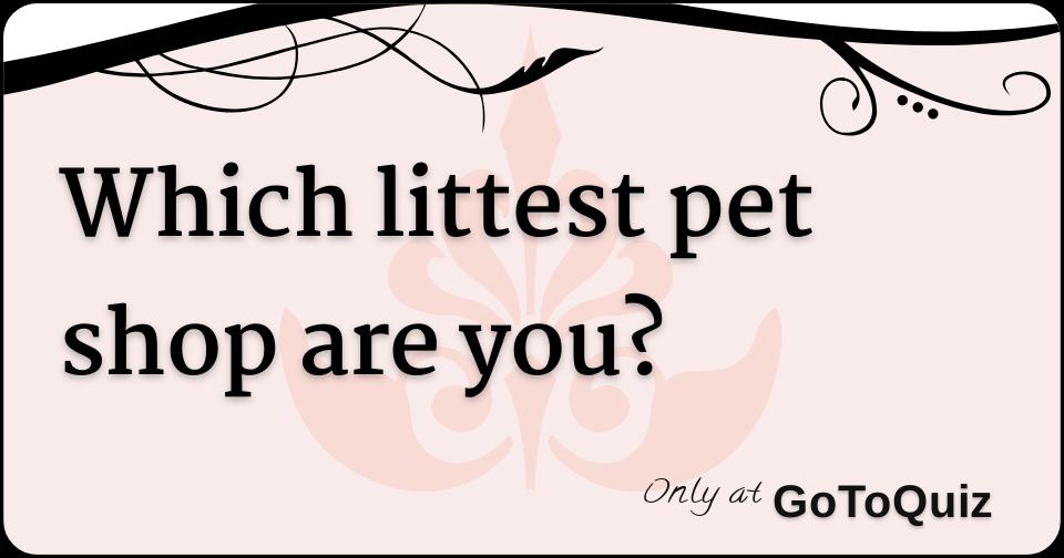 Littlest pet shop sales quiz